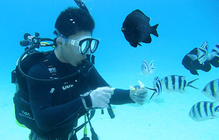 体験ダイビング