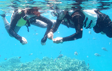 シュノーケリングプラン ビーチ