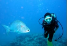 ビーチでダイビング体験