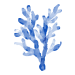 珊瑚のイラスト
